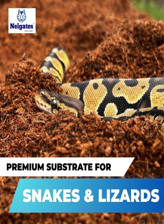 Nelgates Reptile Bedding Organic Coco peat Block for Snake Habitat, Ball Python Terrarium, Turtle Tanks, Enclosure (650g) - Image 3